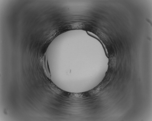 X0000097810329200804041342