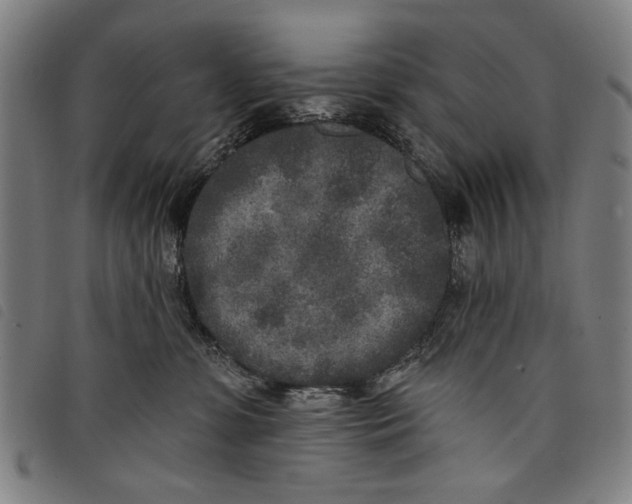 X0000097810331200804041342