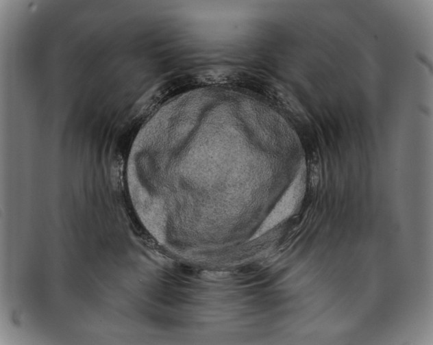 X0000097810332200804041342