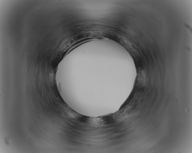 X0000097810333200804041342