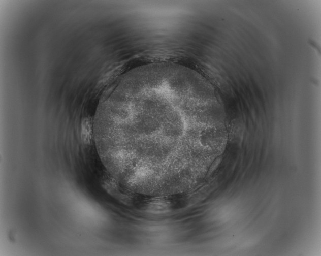 X0000097810335200804041342