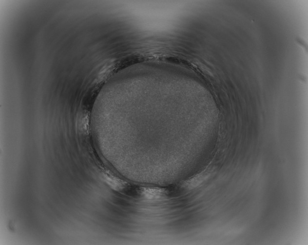 X0000097810336200804041342