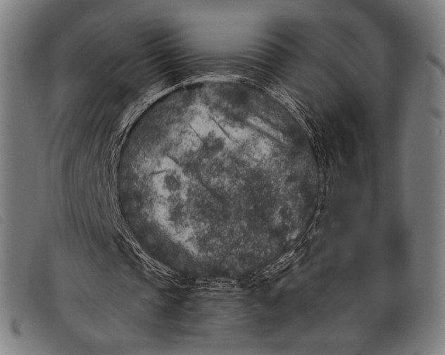 X0000097810337200804041341