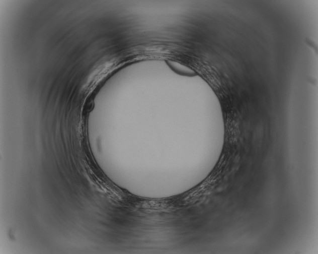 X0000097810338200804041341