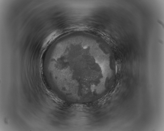 X0000097810339200804041341