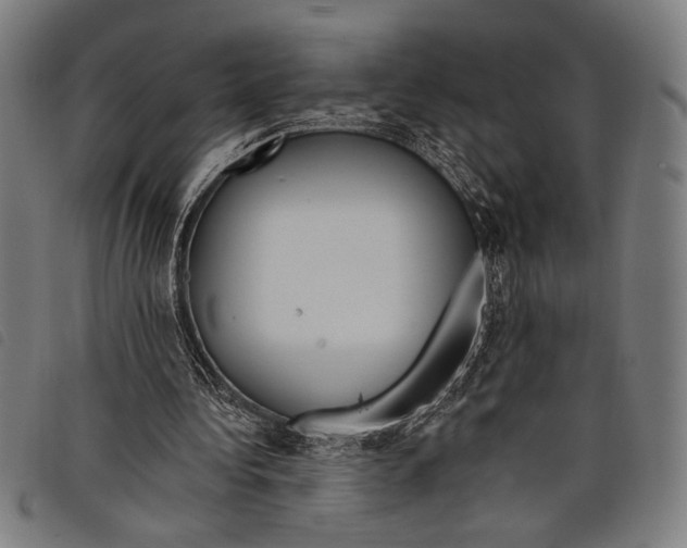 X0000097810340200804041341