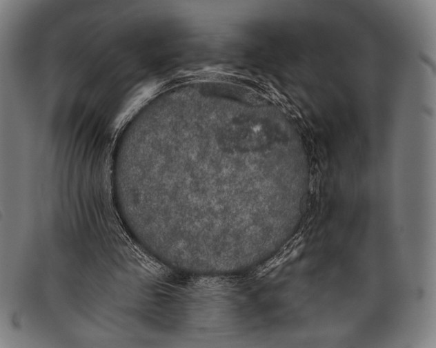 X0000097810341200804041341