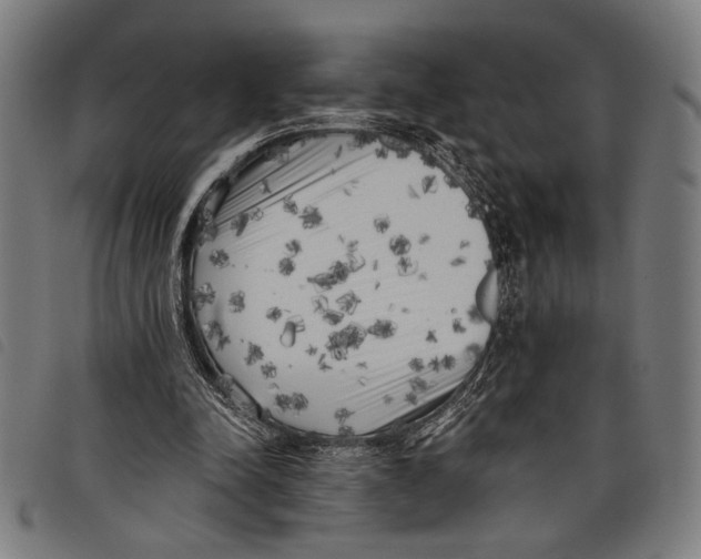 X0000097810342200804041341