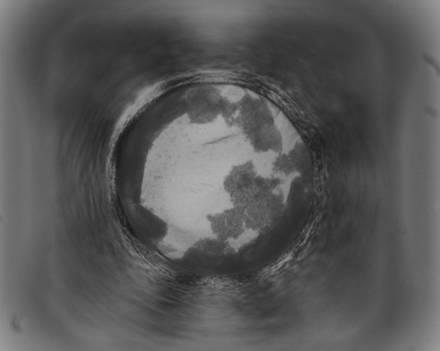 X0000097810343200804041341