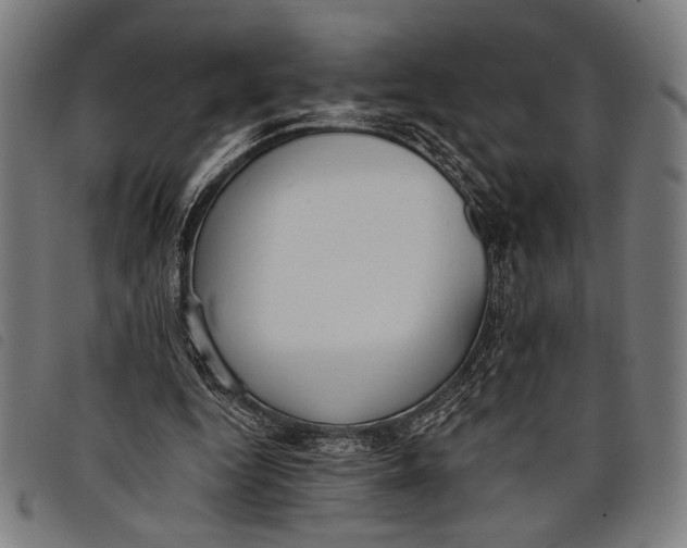 X0000097810344200804041341