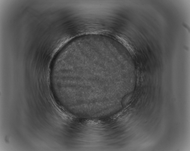 X0000097810346200804041341