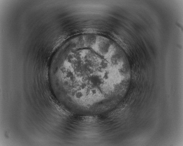 X0000097810347200804041341