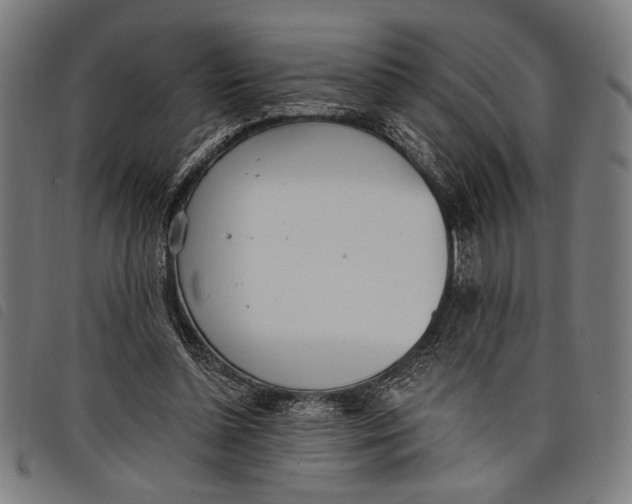 X0000097810348200804041341