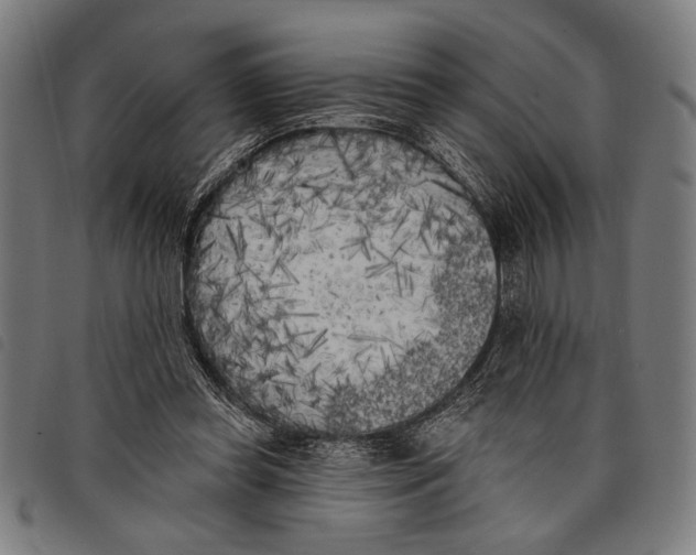 X0000097810349200804041341