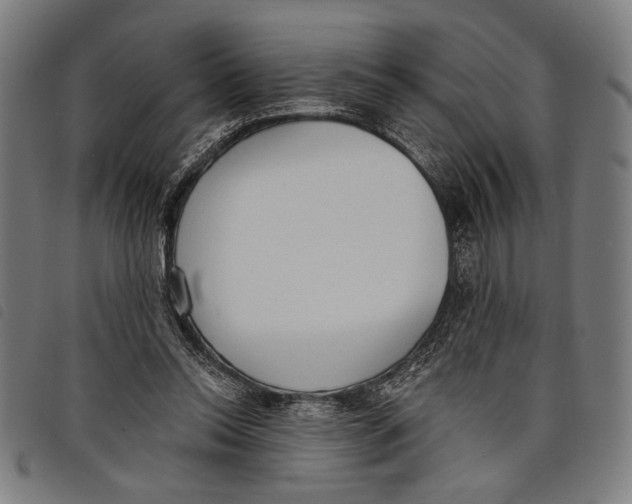 X0000097810350200804041341