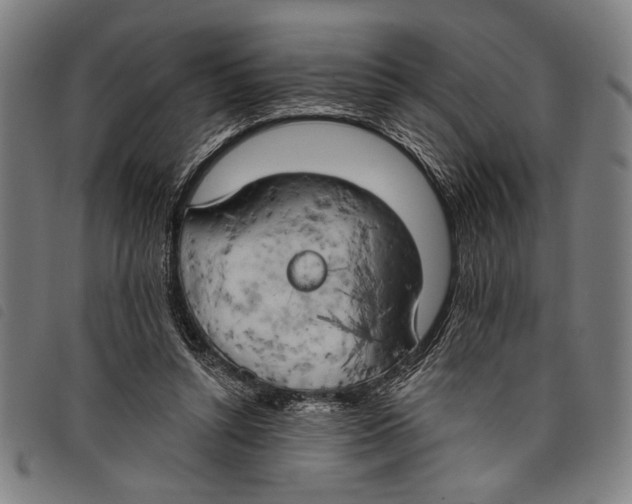 X0000097810352200804041341