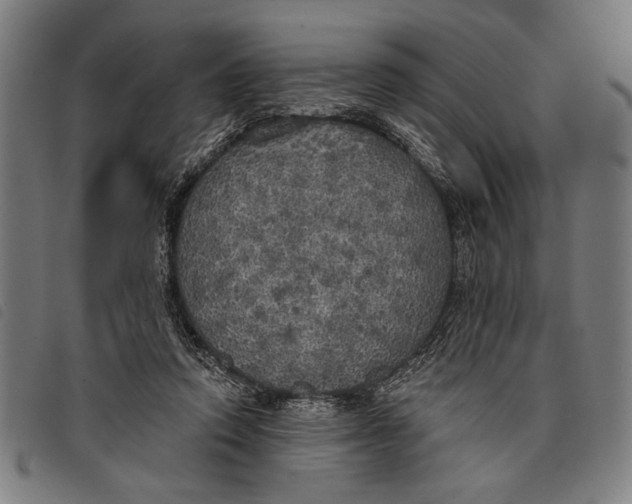 X0000097810354200804041341