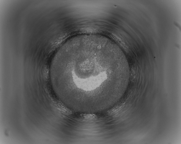 X0000097810355200804041341