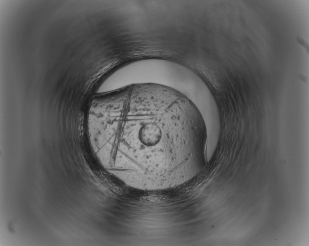 X0000097810356200804041341