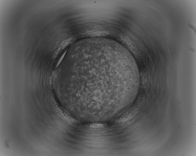 X0000097810357200804041341