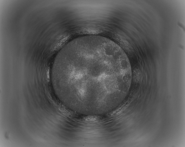 X0000097810358200804041341