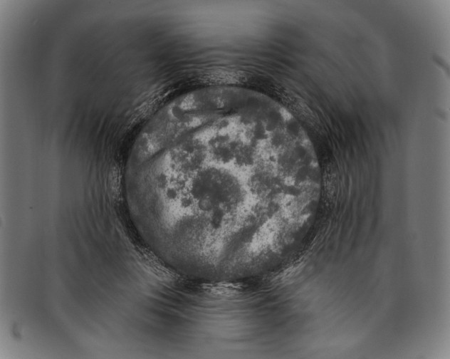 X0000097810359200804041341