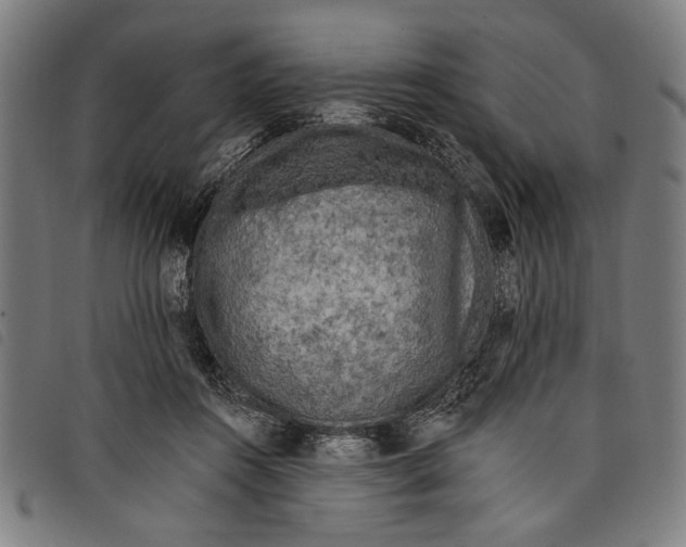 X0000097810360200804041341