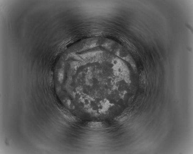 X0000097810361200804041341