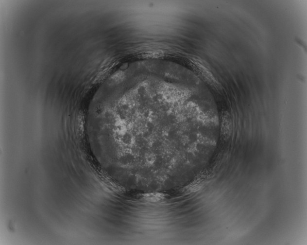 X0000097810363200804041341