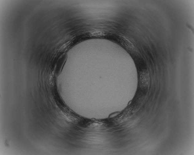 X0000097810364200804041341