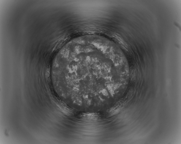 X0000097810365200804041341