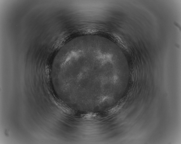 X0000097810366200804041341