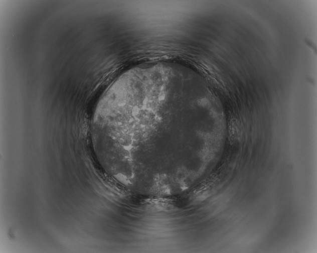 X0000097810367200804041341