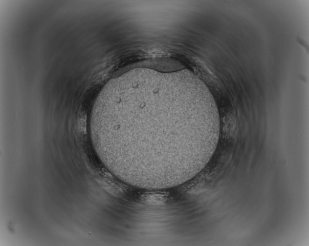 X0000097810368200804041341