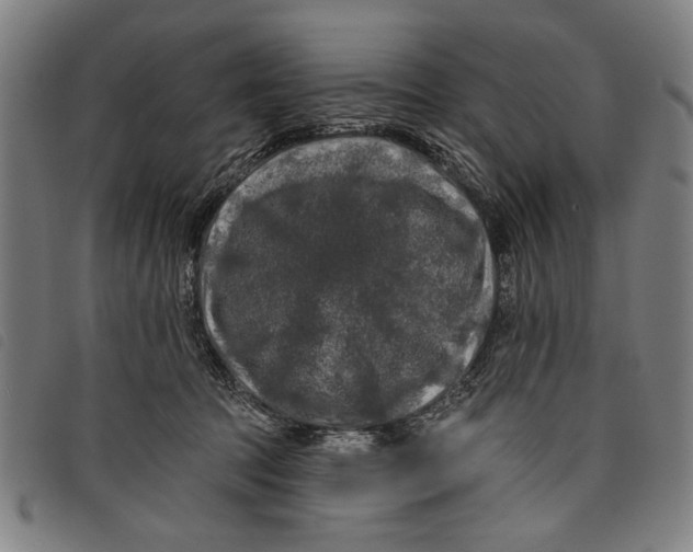 X0000097810369200804041341