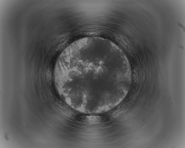 X0000097810371200804041341