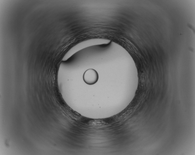 X0000097810372200804041341