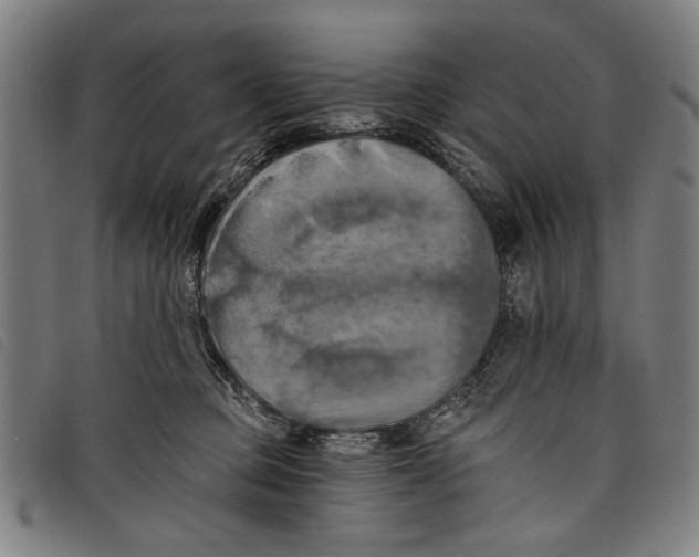 X0000097810373200804041341