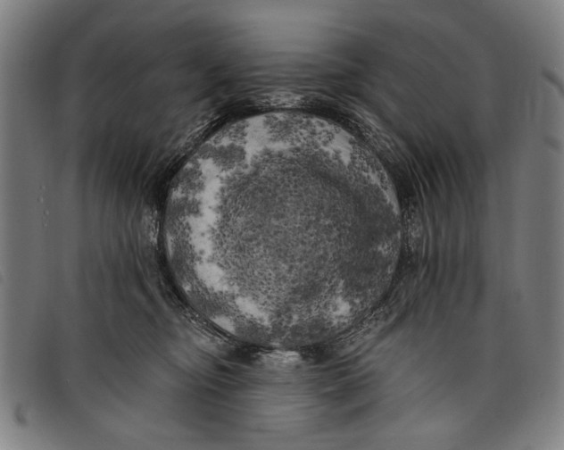 X0000097810374200804041341