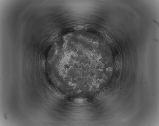 X0000097810375200804041341