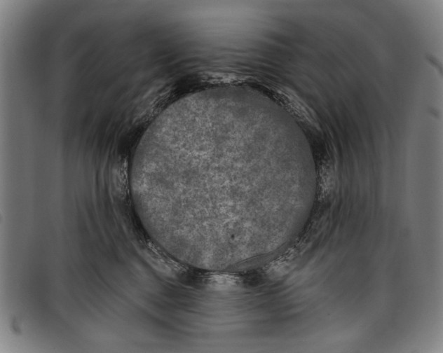 X0000097810376200804041341