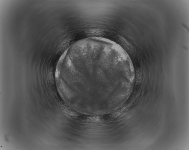 X0000097810377200804041342