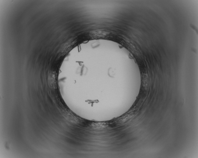 X0000097810378200804041342