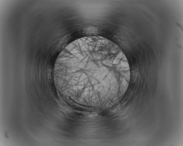 X0000097810379200804041342