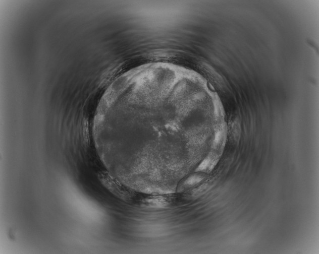 X0000097810381200804041342