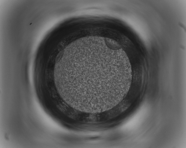 X0000097810383200804041342