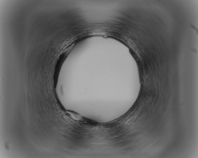 X0000097810385200804041341