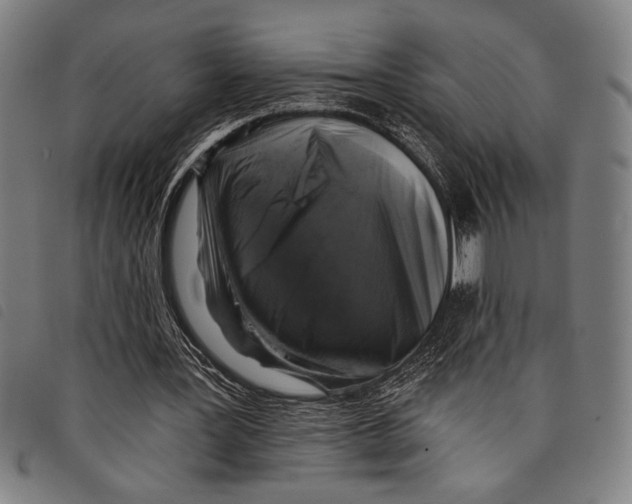 X0000097810387200804041341