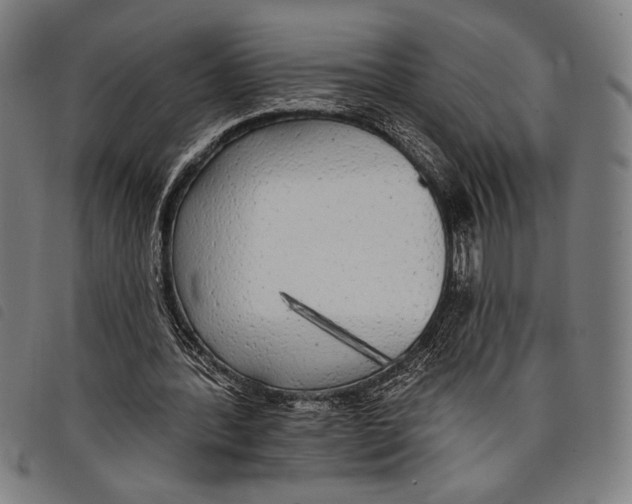 X0000097810388200804041341