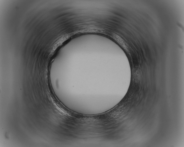 X0000097810389200804041341